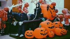 Trải nghiệm Halloween kỳ thú tại The Garden 