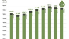 Đồ họa: Phượng Nguyễn