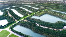 Ecopark Grand đã hoàn thiện phần quy hoạch và trồng phủ cây xanh