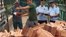 Ảnh minh họa của: Tuấn Nguyễn