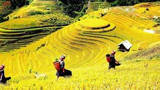 Công nhận Sa Pa là Khu du lịch Quốc gia