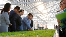 Lãnh đạo Tập đoàn FLC xem xét mô hình trang trại nông nghiệp cao của Farmdo tại Nhật Bản