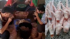 Video rút xương chân gà bằng miệng khiến người xem sợ nhiễm khuẩn