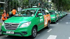 Lãnh đạo Tập đoàn Mai Linh thừa nhận doanh thu giảm 30% do cạnh tranh với Grab, Uber.