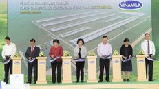 Khánh thành Trang trại số 1 thuộc Tổ hợp trang trại bò sữa công nghệ cao Vinamilk tại Thanh Hoá