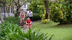 Đường dạo bộ, đạp xe của cư dân Dragon City