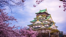 700.000 vé giờ vàng, dễ dàng khám phá Nhật Bản cùng Vietjet