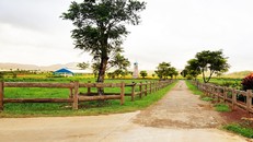 Hình ảnh trang trại organic đầu tiên của Việt Nam được Vinamilk khánh thành vào tháng 03/2017