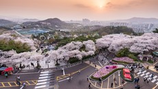 Phong cảnh đẹp tại Hàn Quốc