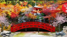 Ngày hội văn hóa Nhật Bản dự kiến thu hút sự tham gia của hàng nghìn người dân TP. Phúc Yên