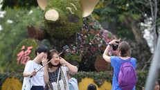 Du khách tạo hình vui vẻ trước mô hình hai chú heo bằng hoa lập thể, ảnh: Hoàng Anh