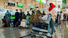 Bamboo Airways triển khai vận chuyển cành đào, mai dịp Tết Tân Sửu 2021