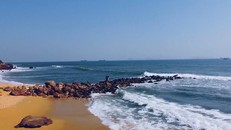 Bãi tắm hoang sơ, yên bình tại Bãi Đông, Nghi Sơn, Thanh Hóa. (Ảnh: Hồng Lê)