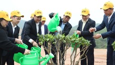 Trồng cây phủ xanh 16 ha dự án sân golf Văn Lang Empire Phú Thọ