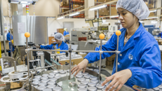 Thương mại giữa Việt Nam và khu vực Nội Á sẽ tăng hơn 40% vào năm 2030