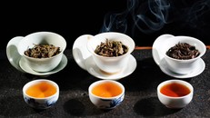 “Đẹp tỉnh thức” cùng Thạch Cổ Trà và HER Beauty Clinic