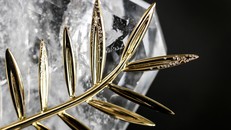 Cận cảnh giải Cành cọ Vàng.