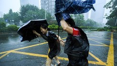 Nước biển ấm lên không phải 'thủ phạm' duy nhất gây bão hàng loạt