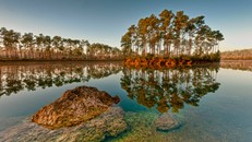Một khu vực đầm lầy bên trong Vườn quốc gia Everglades. (Nguồn: Getty).