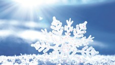 Viết tương lai cho con nơi xứ tuyết