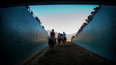 Ngành công nghiệp đua ngựa của Mỹ đối mặt thách thức lớn