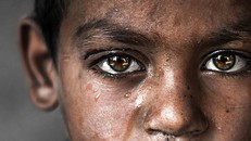 Ảnh: Magsi / Shutterstock.com.