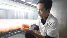 Luận bên sản phẩm của mình.