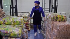 Các bao thực phẩm tại thủ đô Bình Nhưỡng, Triều Tiên.(Nguồn: AP)