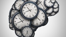 Đồng hồ sinh học: Các bộ phận cơ thể phản ứng với ngày và đêm độc lập với não bộ