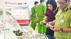 Các đoàn kiểm tra đã sát sao, phát hiện nhiều vi phạm.