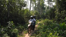 Marie Roseline Darnycka Bélizaire, một nhà dịch tễ học của WHO, đi xe qua khu rừng gần Itipo trên đường đến một cuộc tái khám.