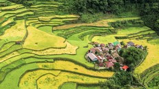 Ruộng bậc thang vùng Cordillera