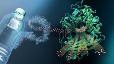 Siêu enzim ăn nhựa sẽ giải cứu thế giới khỏi ô nhiễm?