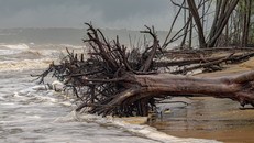 Thiên tai gây thiệt hại hàng nghìn tỷ USD.