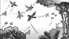 Chim chèo bẻo và thời sơ tán là những ký ức khó phai mờ. Ảnh: Tư liệu