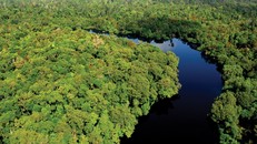 Vinh danh 6 nhà khoa học trẻ 2020 với những nghiên cứu về hệ sinh thái