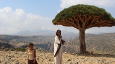 Quần đảo Socotra với hơn 700 loài đặc hữu 