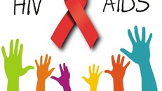 Hà Nội triển khai Tháng hành động quốc gia phòng, chống HIV/AIDS