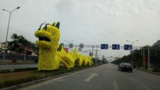 Hình ảnh con rồng gây tranh cãi ở thành phố Hải Phòng
