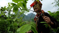 Người Dao trong rừng Hữu Liên