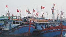 Ngư dân mở biển, ra ngư trường Hoàng Sa