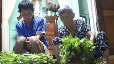 Ở tuổi 82, người mẹ già Nguyễn Thị Tồn trở thành lao động chính, trụ cột trong gia đình