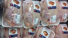 Tạm ngừng nhập khẩu thịt gà từ Mỹ do dịch cúm gia cầm