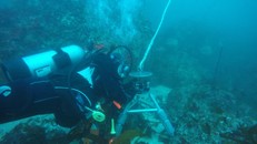 UNESCO lần đầu công bố báo cáo về khoa học đại dương trên thế giới