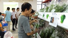 Người tiêu dùng tìm hiểu lựa chọn các sản phẩm tại Trung tâm. (Ảnh: Thanh Tâm/Vietnam+)