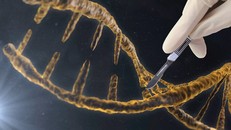 “Thiết kế” trẻ em – nguy cơ hay mối lo hoang đường?