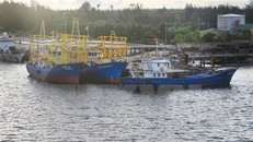 Quảng Trị bỏ ra hơn 3 triệu USD lắp đèn LED cho tàu đánh bắt xa bờ