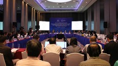 Hội nghị quan chức cấp cao APEC đối thoại chính sách về người cao tuổi chiều 22/8 tại TP HCM. Ảnh: T.D