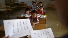 “Đả mạ giáo dục” - khi giáo viên là thủ phạm bạo hành