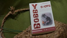 Bobby Đi hoang – Khi người ta phải lòng một cuốn sách